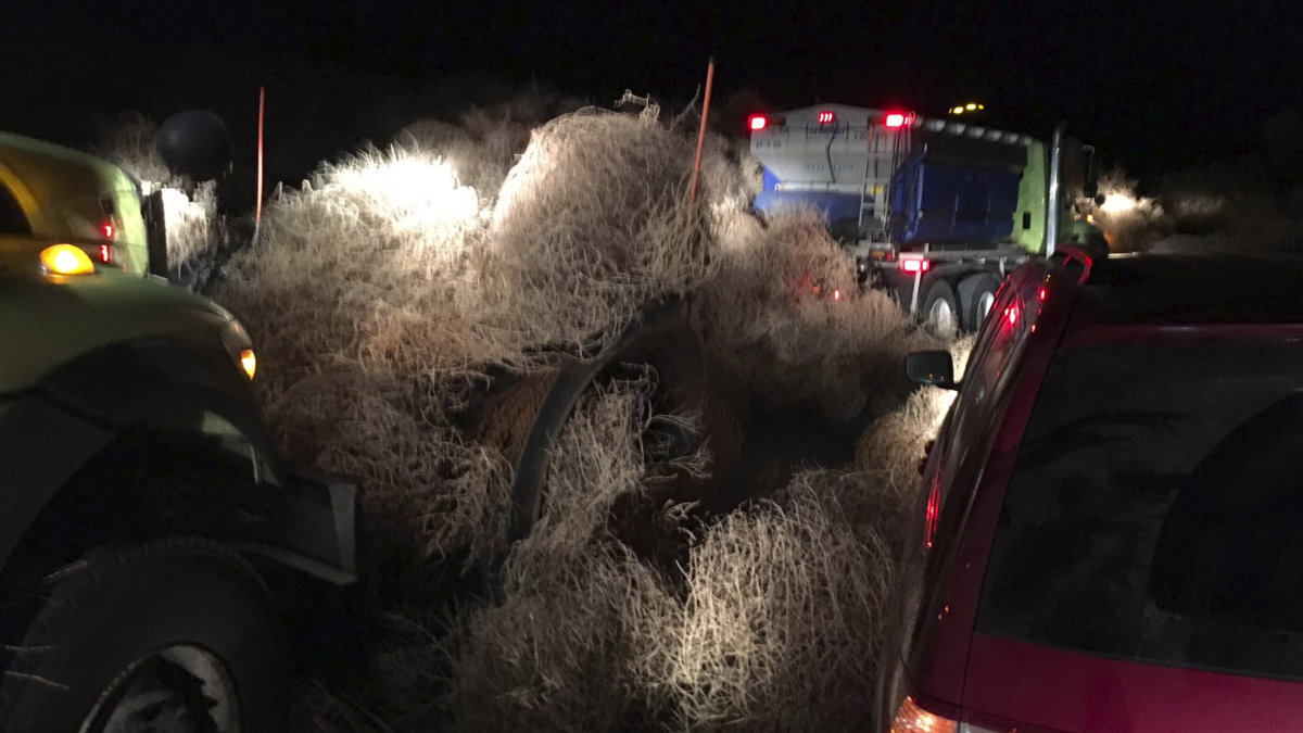 Cars get trapped in tumbleweeds on Washington state highway