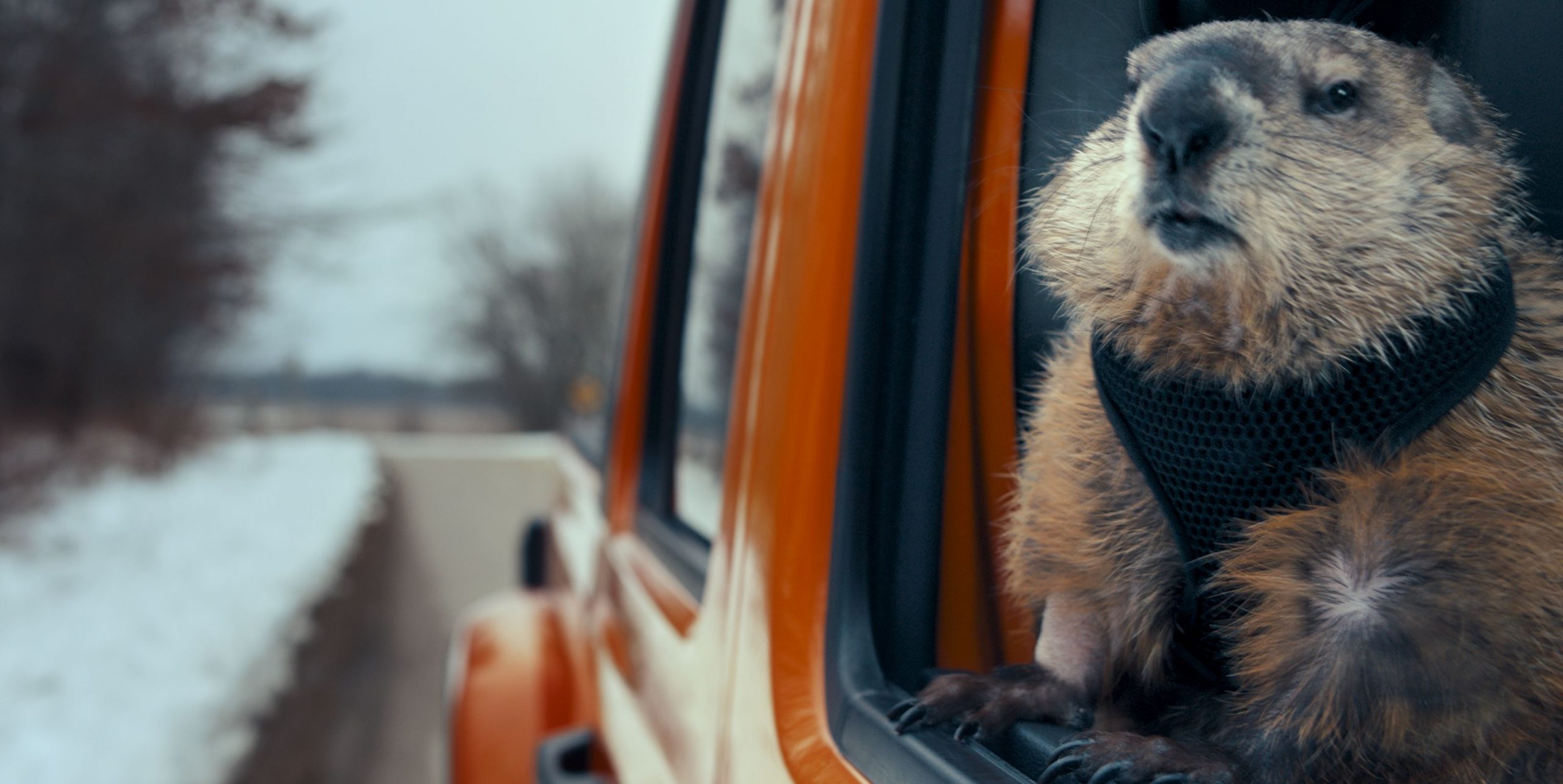 Jeep Coronavirus Ad Brings Back Bill Murray’s Groundhog Day Character (Again)