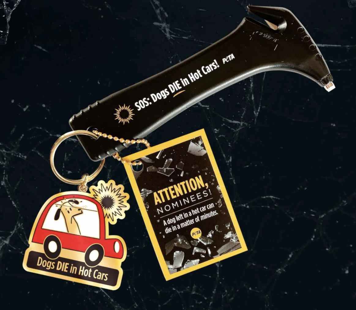 Oscar Nominees’ Gift Bags Include a Little Hammer to Smash Car Windows