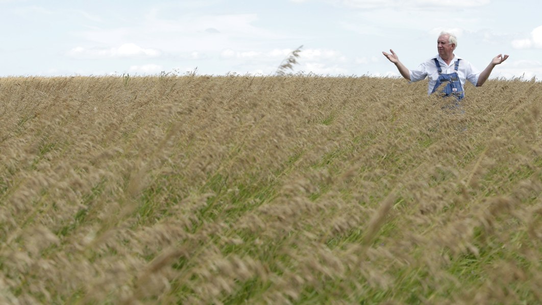 U.S. corn-based ethanol worse for the climate than gasoline, study finds